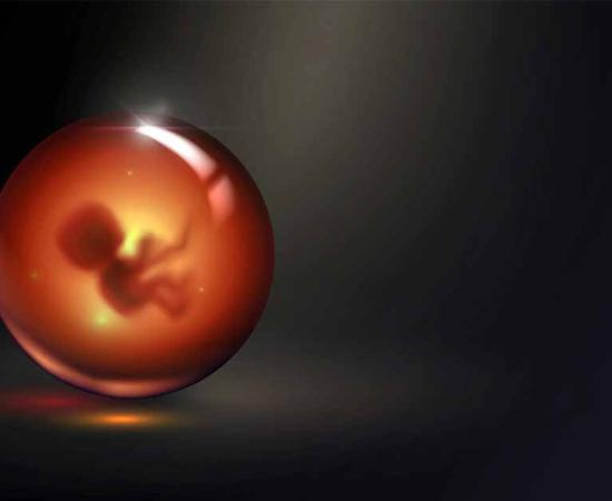 Medieval alchemists believed they could create a mini artificial human. Source: lidiia / Adobe Stock