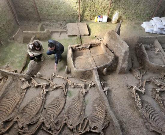 The horse burial pit in the newly-discovered tomb.