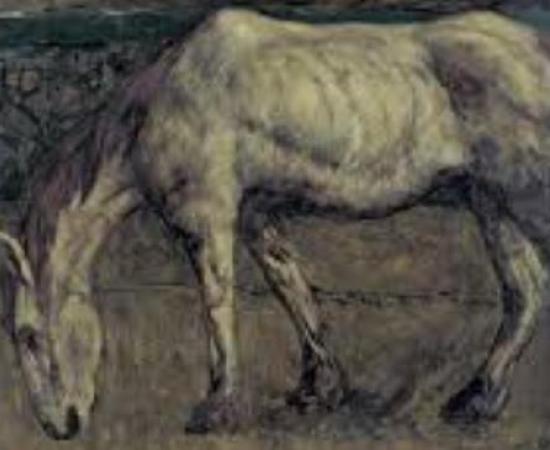 World’s Oldest Full Genome