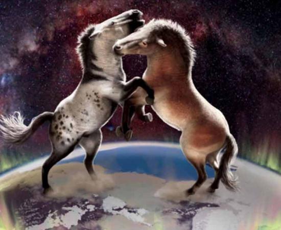 Ancient horse populations crossed over the Bering Land Bridge in both directions between North America and Asia multiple times during the Pleistocene.