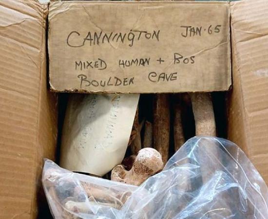 The box of Mesolithic bones were rediscovered at the Somerset Heritage Centre near Taunton.           Source: Cotswold Archaeology