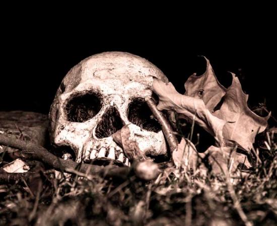 Ancient DNA from human remains like this representation were used in the study. Source: Erin Cadigan / Adobe Stock