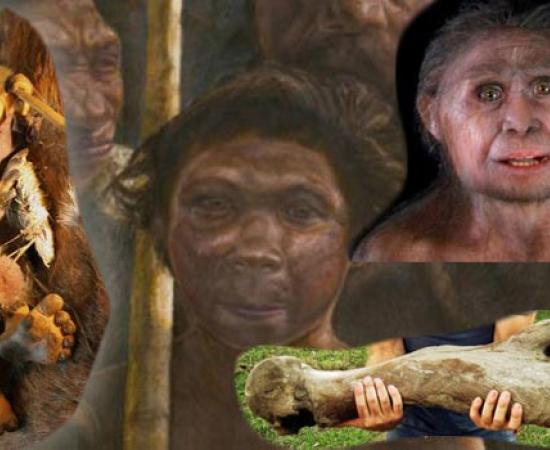 The best on human origins 2013