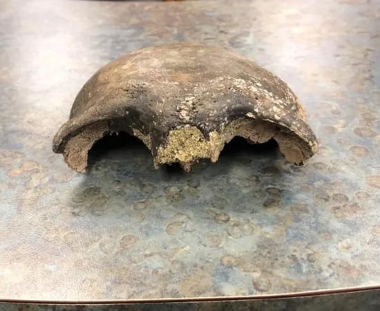 Human skull discovered in Minnesota River in September is believed to be about 8,000 years old. Source: Renville County Sheriff's Office