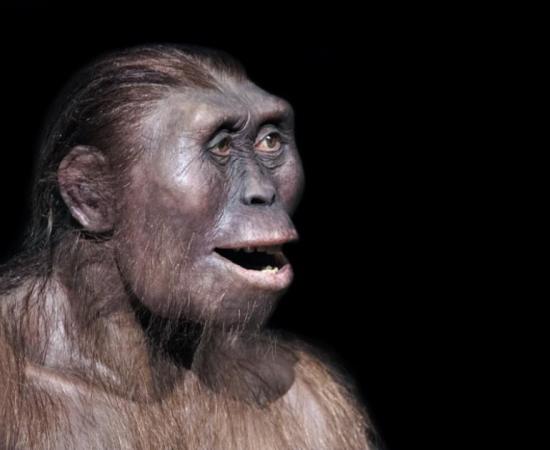 Depiction of an ancient human smile 