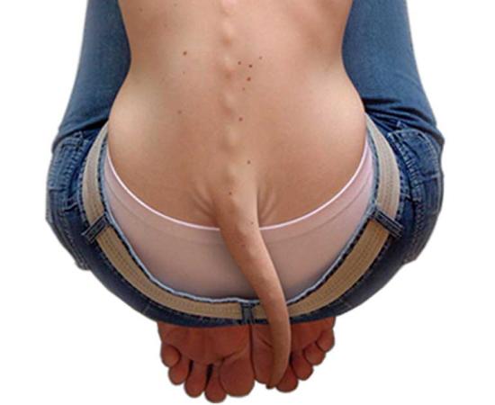 How (Most) Humans Lost Their Tails - From Fish to Tetrapods to Apes to Homo Sapiens