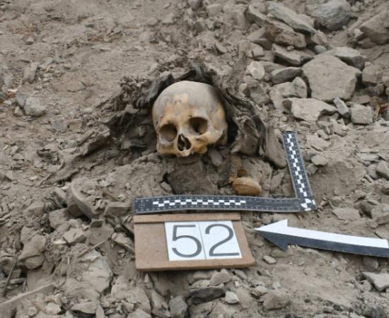 Human skull unearthed during excavations that found mass communal grave at El Curaca site in southern Peru.