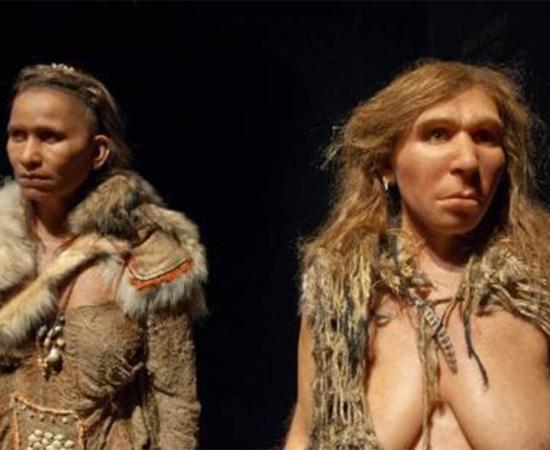 Humans and Neanderthals Have More in Common than Polar and Brown Bears