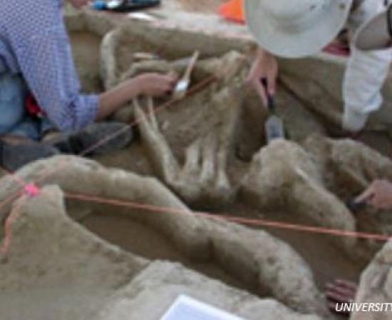 Texas Mammoth Humans