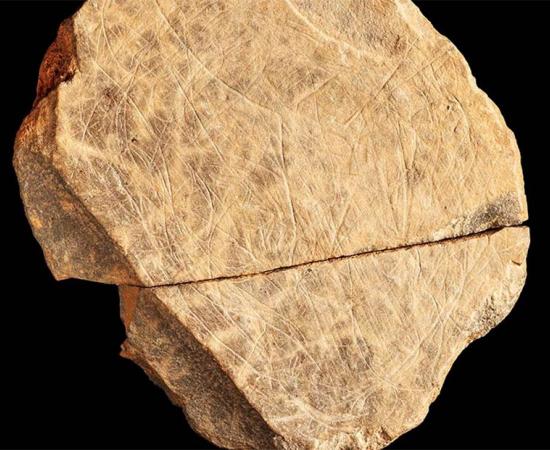 The most complete of the ten ice age artworks discovered on Jersey in the English Channel Islands, dating back some 15,000 years. Source: Natural History Museum