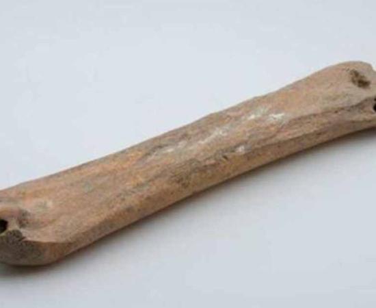 The 3,500-year-old bone ice skate were discovered in Xinjiang in a high-society tomb. Source: Xinhua/ Global Times