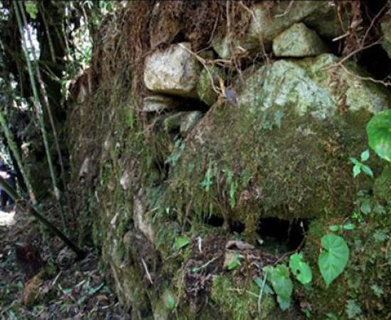 Section of Inca road leading to Machu Picchu 