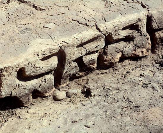 7th century BC inscription in Georgia 