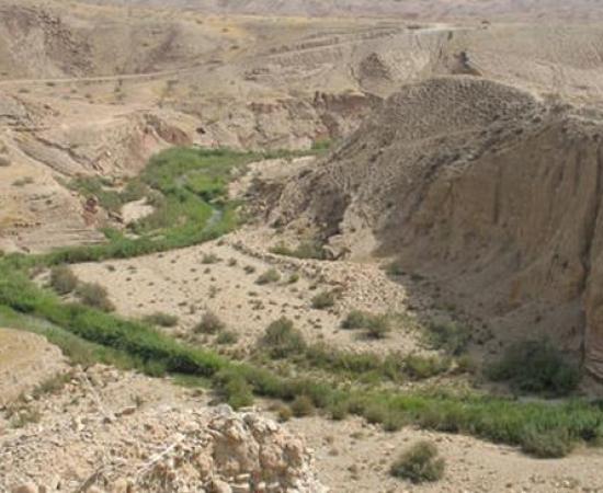 agriculture farming iran zagros