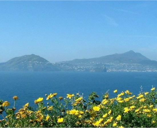 Island of Ischia.