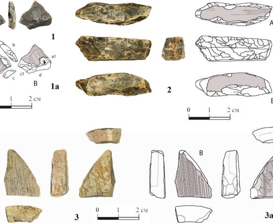 Photographs and drawings of ivory mammoth pieces shaped to a point.