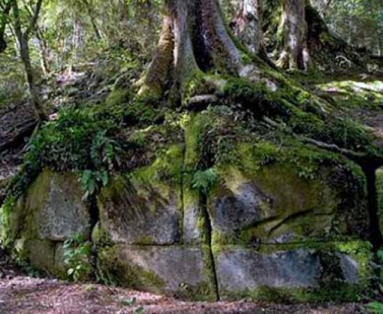 Kaimanawa wall - New Zealand