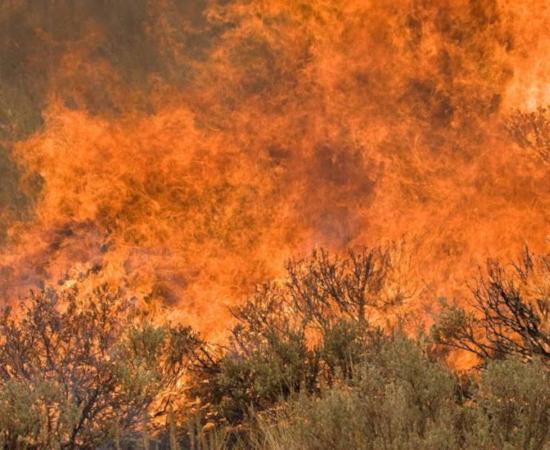 Huge wildfire linked to a lightning strike in Sun Valley area of Idaho.