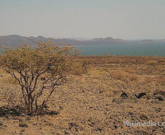 Early human fossils in Kenya