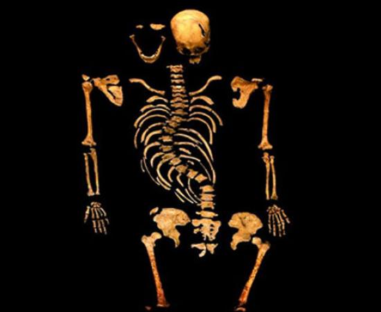 Spinal of King Richard III