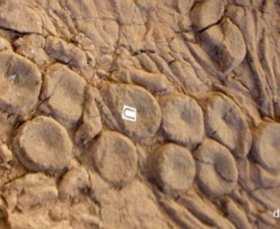 Legendary sea monsters - Kraken