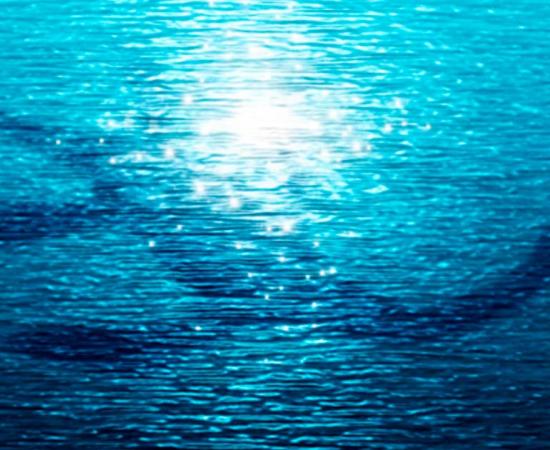 Lake monster. Source: lubomira08 / Adobe Stock