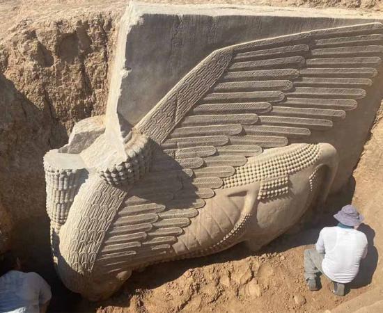 The Lamassu that has been re-excavated in Iraq. Image Credit : Mustafa Yahya