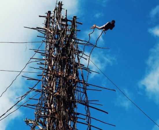 Man performing at the land diving ceremony on the Pentecost Island, Vanuatu          Source: simanlaci / Adobe stock