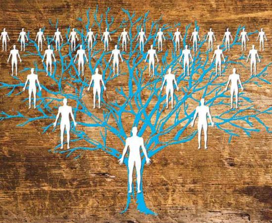 Oxford University's Big Data Institute has used ancient and modern DNA to create the world's "largest family tree" spanning 100,000 years! 		Source: milankubicka / Adobe Stock