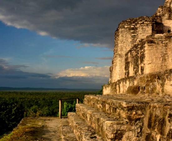 Looking over the jungle in Peten, Guatemala. Source: Adobe Stock / Xavier