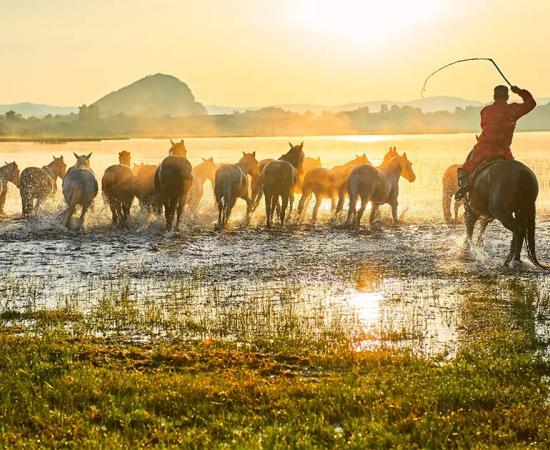 Leather balls thought to belong to horsemen of Northern China have been found.       Source: 孝通 葛 / Adobe Stock