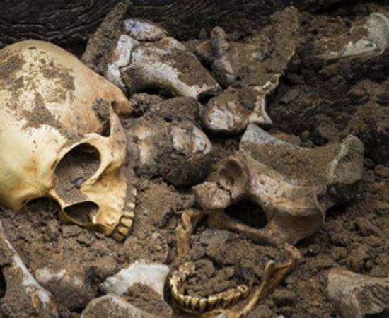 Experts have studied the skeletal remains of five bodies excavated in Ireland and tested the remains for strains of leprosy. Source: Suthiporn / Adobe Stock.