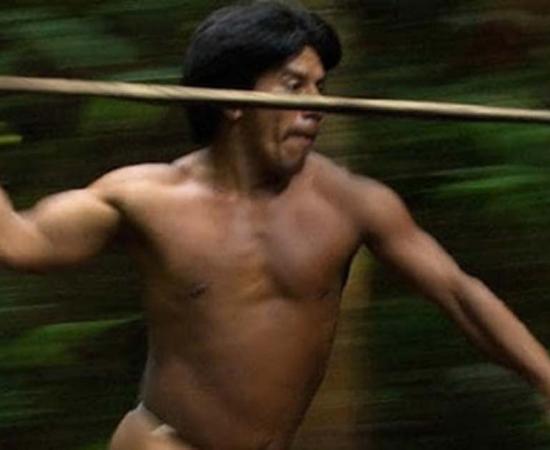 In a new study, a team of researchers examined the social composition of raiding parties and their relationship to marriage alliances in an Amazonian tribal society, the Waorani of Ecuador.