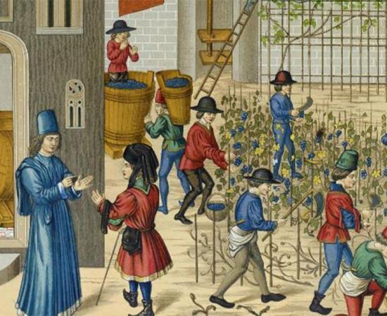 Representation of life in medieval Europe at a vineyard. Source: ruskpp /Adobe Stock