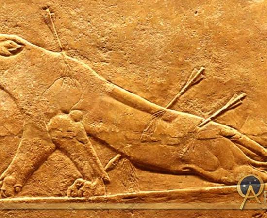 A lion is hunted, and is near death. Assyrian relief, Nineveh, north palace, 645-635 BCE 
