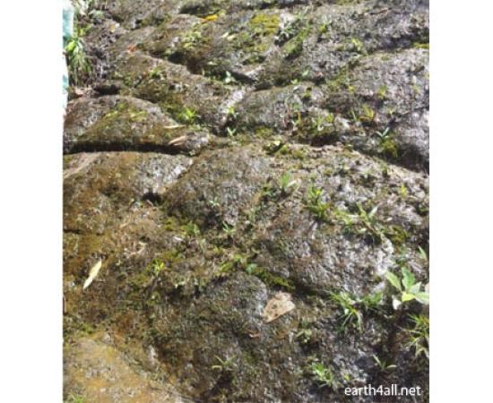 The Lost city of the Giants