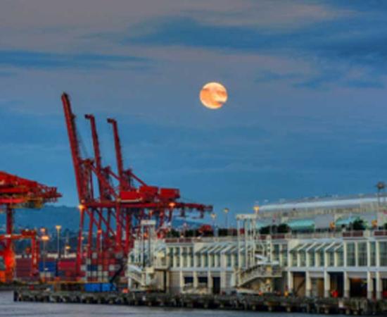 Harvest Moon 2014, Coal Harbor, Vancouver.