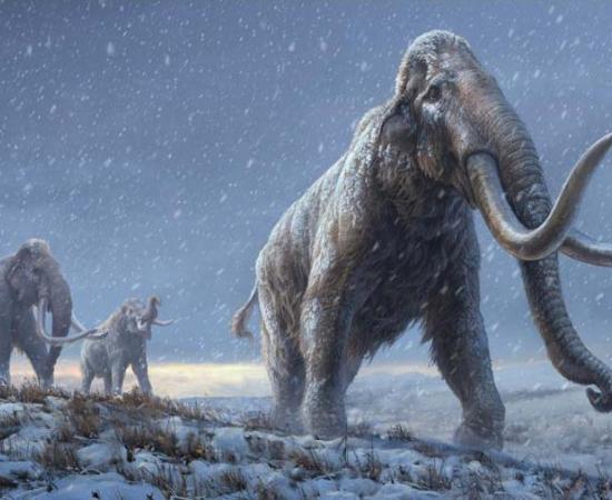 Mammoth DNA Breaks Record for World’s Oldest Sequence