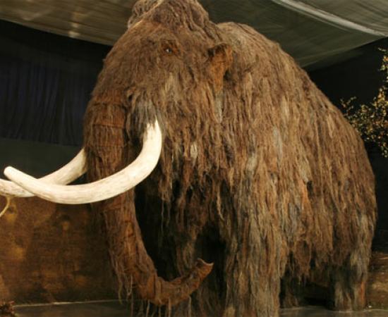 Mammoth Blood - Revival of Species