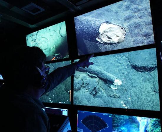 Steven Haddock viewing a mammoth tusk on a screen on the Western Flyer, an MBARI research vessel. Source: Darrin Schultz / MBARI