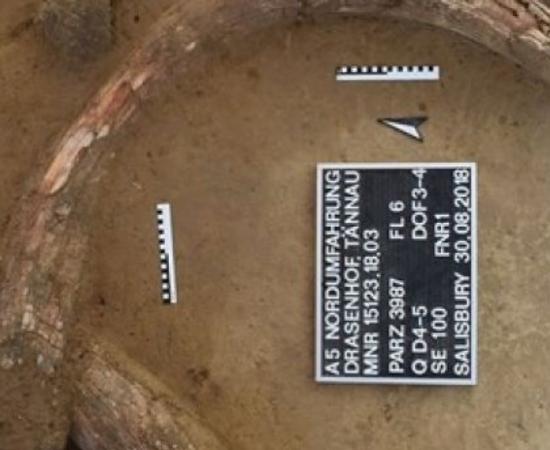 Mammoth tusk found at the kill site in Austria.