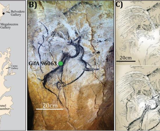 (A) A map of the cave with prehistoric representations of volcanoes, including (B) and (C) the Chauvet-Pont d’Arc megaloceros and volcanic spray (Photo by D. Genty, drawing by V. Feruglio-D Baffier). 