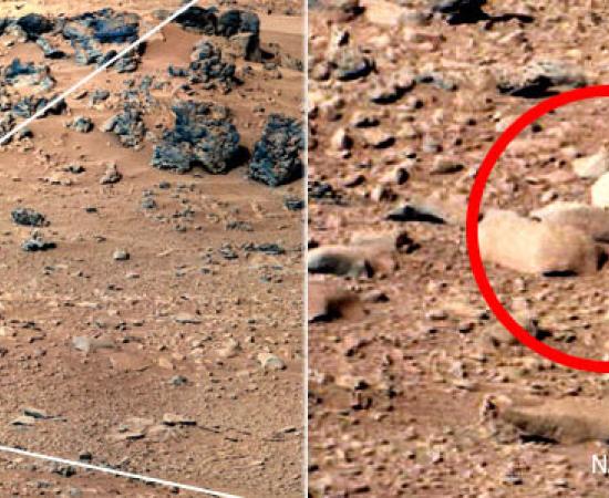 Mars Rock similar to rat