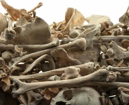 Many lives lost and their remains thrown in numerous mass graves. Source: AidaTiara/Adobe Stock