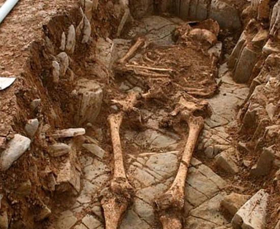 One of the medieval skeletons found at the Fonmon Castle site cemetery, Cardiff.  Source: ©Andy Seaman
