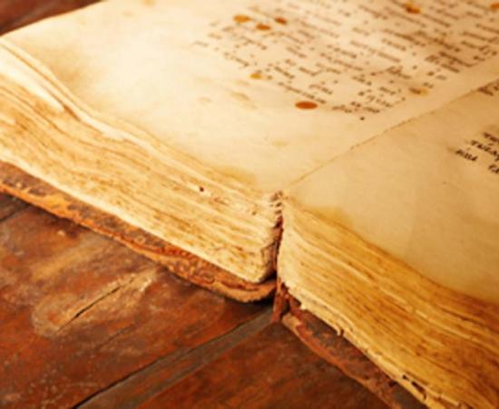 Provocative scenes from the medieval poem, ‘Roman de La Rose’, have been discovered. Source: Dmitry Pichugin / Adobe Stock.