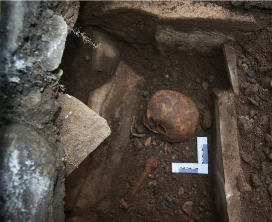 Rare medieval skeletal remains excavated in Wales 