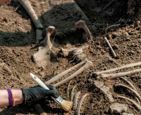 Top image: Archaeologists excavating a human skeleton (representational image). Source: Microgen / Adobe Stock.