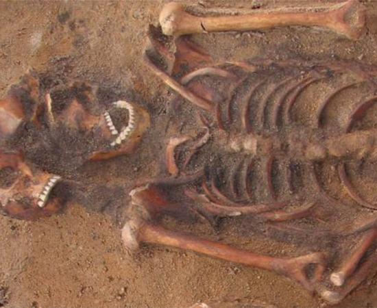 Multiple burial in Vilnius, Lithuania containing an individual infected with both plague and yaws. Source: Courtesy of Robertas Zukovskis and Scientific Reports.
