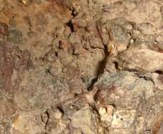 Scientists claim meteorite fossils indicate extraterrestrial life